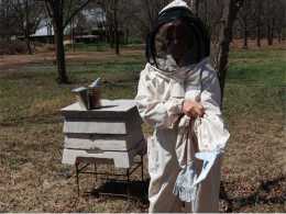 project